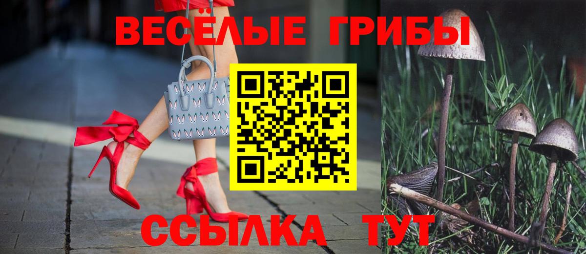 Канск  Псилоцибиновые грибы ЛСД  Вход с VPN  Псилоцибиновые грибы мицелий 